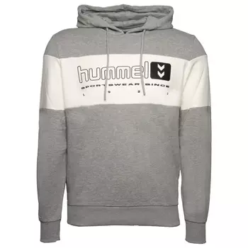 Толстовка Hummel Kapuzenpullover Legacy Musa, серый