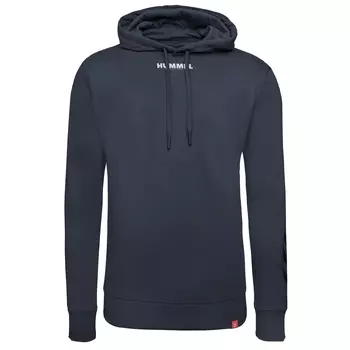 Толстовка Hummel Kapuzenpullover Legacy, синий