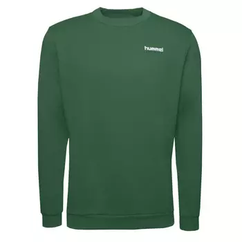 Толстовка Hummel Legacy Gabe, цвет gruen