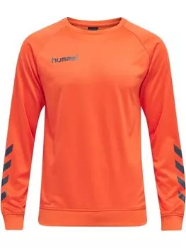 Толстовка Hummel Raglanrmel Hmlpromo Multisport Herren, цвет nasturtium **do not use