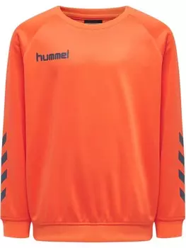 Толстовка Hummel Raglanrmel Hmlpromo Multisport Kinder, цвет nasturtium **do not use