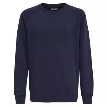Толстовка Hummel Red Classic, синий