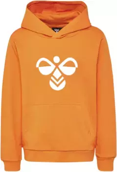 Толстовка Hummel с капюшоном "HMLCUATRO HOODIE - для детей", цвет Persimmon Or
