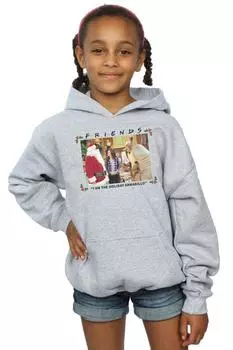 Толстовка «I Am The Holiday Armadillo» Friends, серый