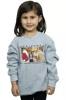 Толстовка I Am The Holiday Armadillo Friends, серый