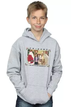 Толстовка «I Am The Holiday Armadillo» Friends, серый