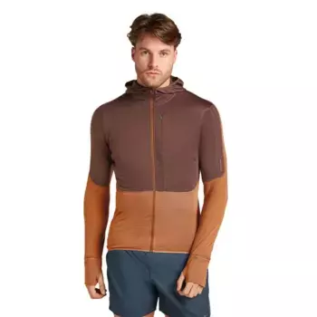 Толстовка Icebreaker Merino 200 Realfleece Descender full zip, коричневый