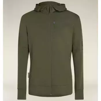 Толстовка Icebreaker Merino 260 Quantum IV full zip, зеленый