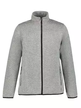 Толстовка Icepeak AGEN, серый