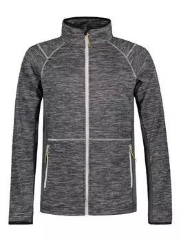 Толстовка Icepeak BARDWELL, серый