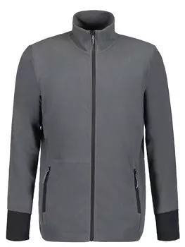 Толстовка Icepeak BEEKMAN, серый