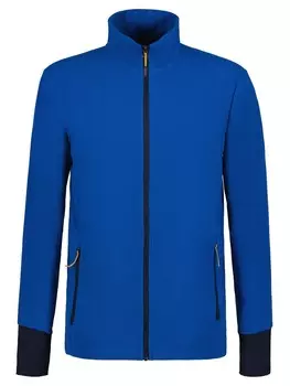 Толстовка Icepeak BEEKMAN, синий