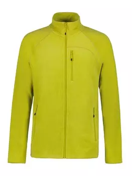 Толстовка Icepeak BOONVILLE, зеленый