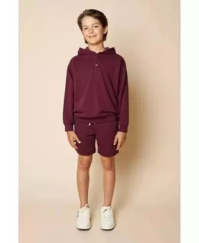 Толстовка из френч-терри с логотипом Big Boys Brooks Brothers, красный