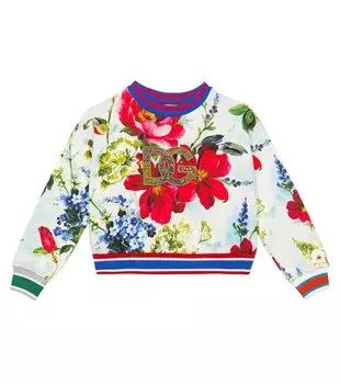 Толстовка из хлопка с логотипом Dolce&Gabbana, разноцветный