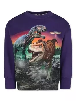 Толстовка из органического хлопка с графическим принтом Molo, фиолетовый