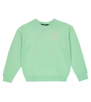 Толстовка из смесового хлопка с логотипом Polo Ralph Lauren, зеленый
