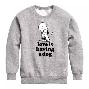 Толстовка из собачьего флиса Peanuts Love Is Have для мальчиков 8–20 лет Licensed Character, серый