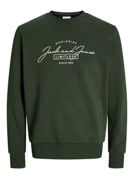 Толстовка JACK & JONES JJFERRIS, темно-зеленый