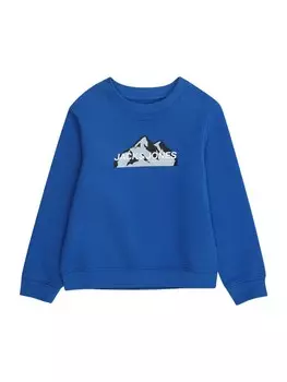 Толстовка Jack & Jones Junior, цвет Smoke blue/Royal blue