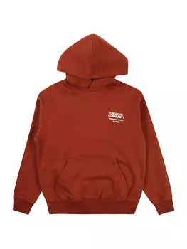 Толстовка Jack & Jones Junior JORNOHO, цвет Auburn
