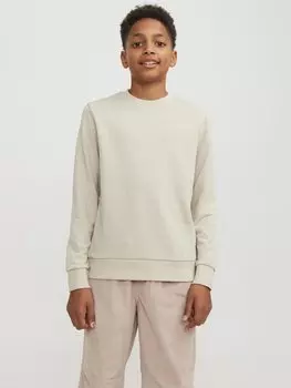 Толстовка JJEBRADLEY CREW Jack & Jones Junior, цвет moonbeam