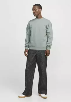 Толстовка JJEBRADLEY CREW NOOS Jack & Jones, светло-зеленый