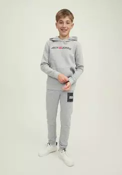 Толстовка JJECORP OLD LOGO Jack & Jones Junior, цвет light grey melange