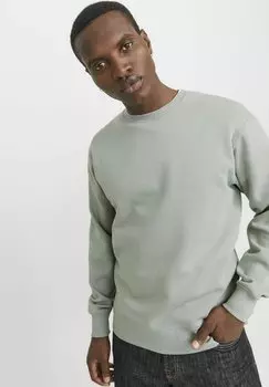 Толстовка JJESTAR BASIC CREW NECK Jack & Jones, светло-зеленый