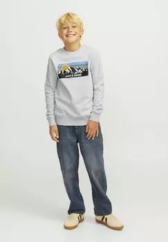 Толстовка JJPEAK CREW NECK Jack & Jones Junior, серый