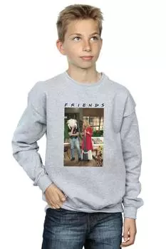 Толстовка Joey Turkey Friends, серый