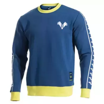 Толстовка Joma Hellas Verona FC, синий