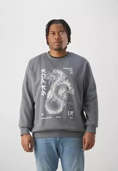 Толстовка Jorbehavior Crew Jack & Jones, цвет quiet shade