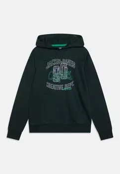 Толстовка JORTRIBECA HOOD JNR Jack & Jones Junior, цвет magical forest
