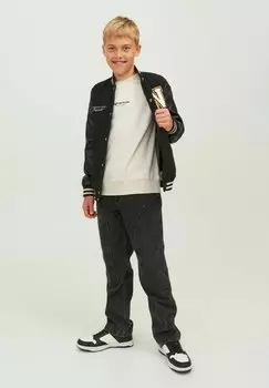 Толстовка JORVESTERBRO CREW NECK Jack & Jones Junior, цвет moonbeam