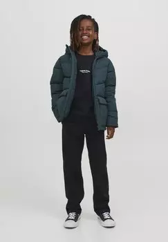 Толстовка JORVESTERBRO CREW NECK Jack & Jones Junior, цвет black