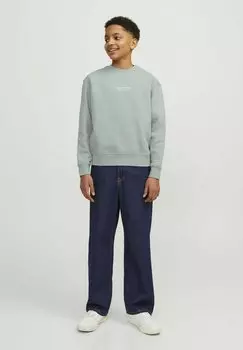 Толстовка JORVESTERBRO CREW NECK Jack & Jones Junior, светло-серый