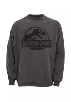 Толстовка Jurassic Park Spray Logo Henry Tiger, кислотно-коричневая, черная