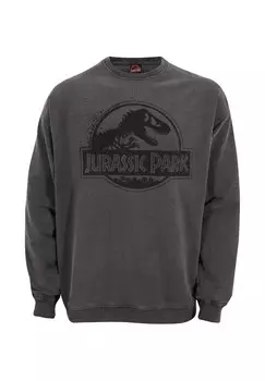 Толстовка JURASSIC PARK SPRAY LOGO Henry Tiger, антрацит