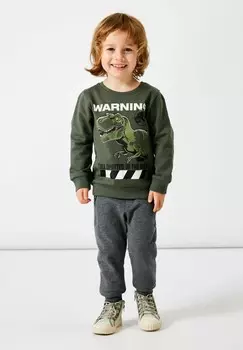 Толстовка JURASSIC WORLD Name it, цвет beetle