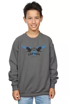 Толстовка капитана Когтеврана Harry Potter, серый