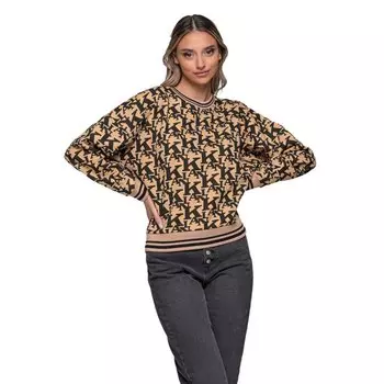 Толстовка Karl Kani Retro College Logo, коричневый