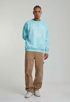 Толстовка Karl Kani, светло-голубой