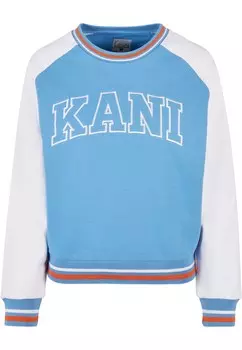 Толстовка Karl Kani, светло-синий