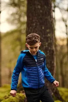 Толстовка Kielder Hybrid VIII стрейч Regatta, синий