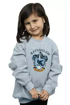 Толстовка Когтеврана Harry Potter, серый