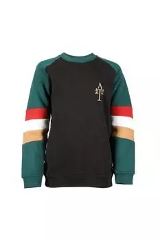 Толстовка команды Aubrion, черный