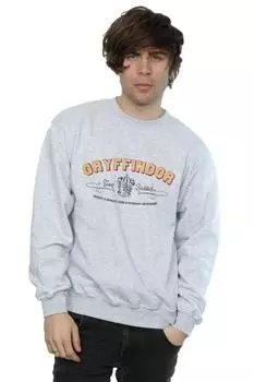 Толстовка команды Гриффиндора по квиддичу Harry Potter, серый