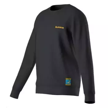 Толстовка La Sportiva Climbing on the Moon, серый