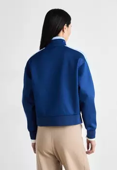 Толстовка Lacoste, синий